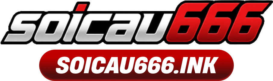 soicau666